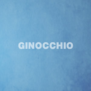 Ginocchio